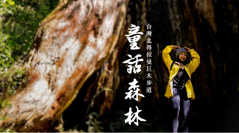 北得拉曼神木步道 童話森林|海拔最低的神木群步道