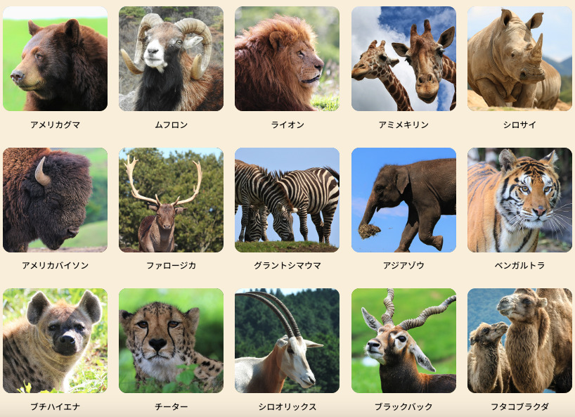 67b363734d70d.png